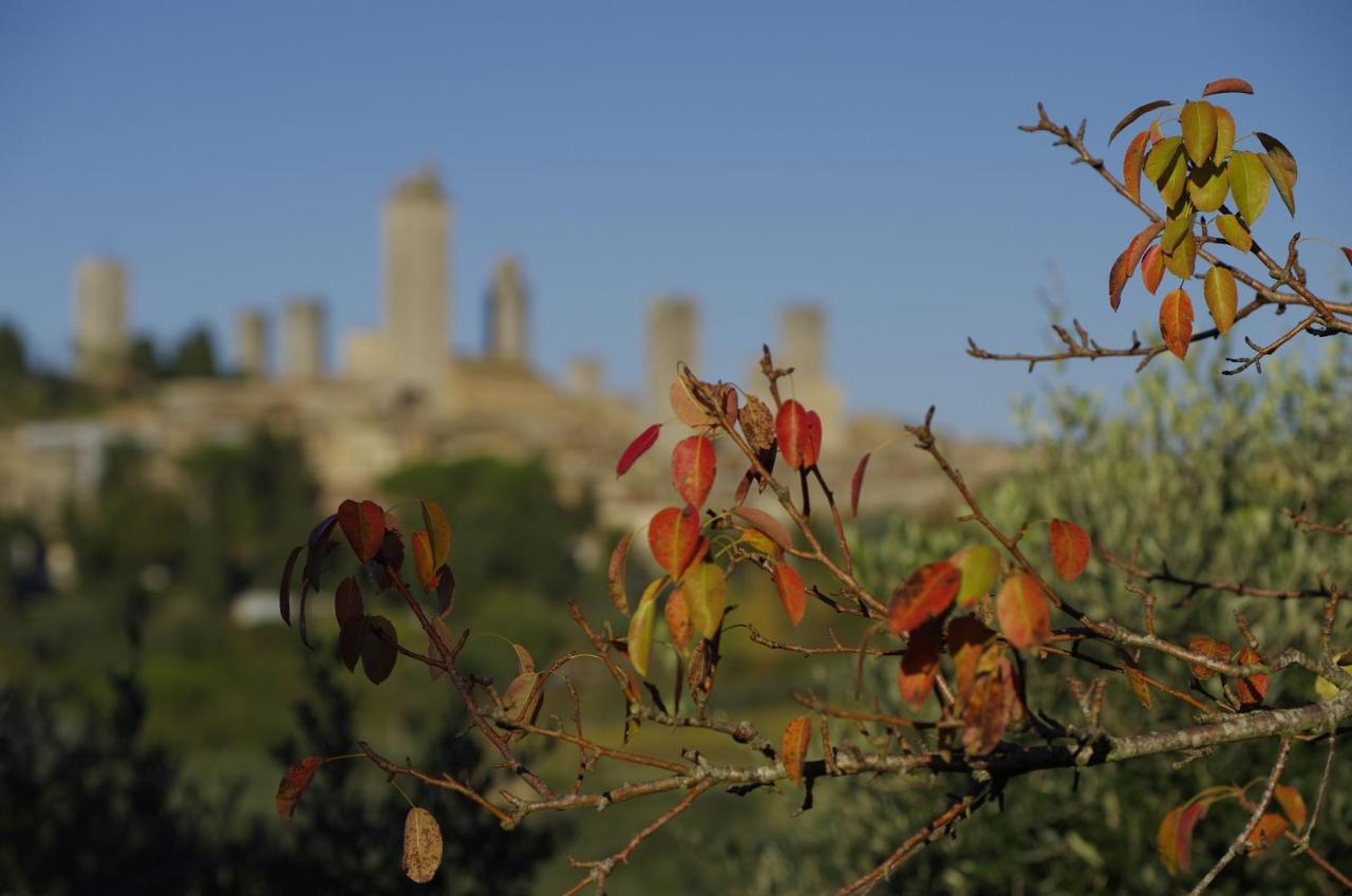 Appartement Il Borgo Antico à San Gimignano Chambre photo